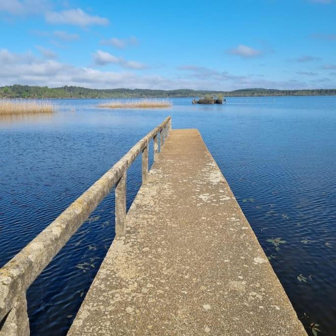 Aureilhan-Appartemant 4-6 Pp Piscine Cosy En Bord Lac Eksteriør billede